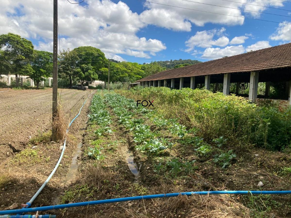 Lote, Inácia de Carvalho, 0 Quarto, 0 Vaga