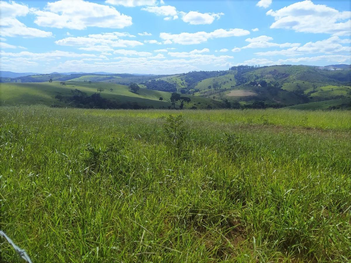 Fazenda, Centro, 2 Quartos, 1 Vaga, 1 Suíte