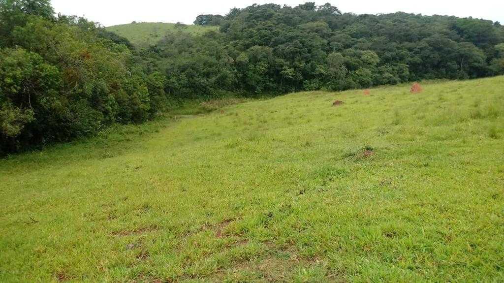 Fazenda, Centro, 3 Quartos, 1 Vaga, 1 Suíte