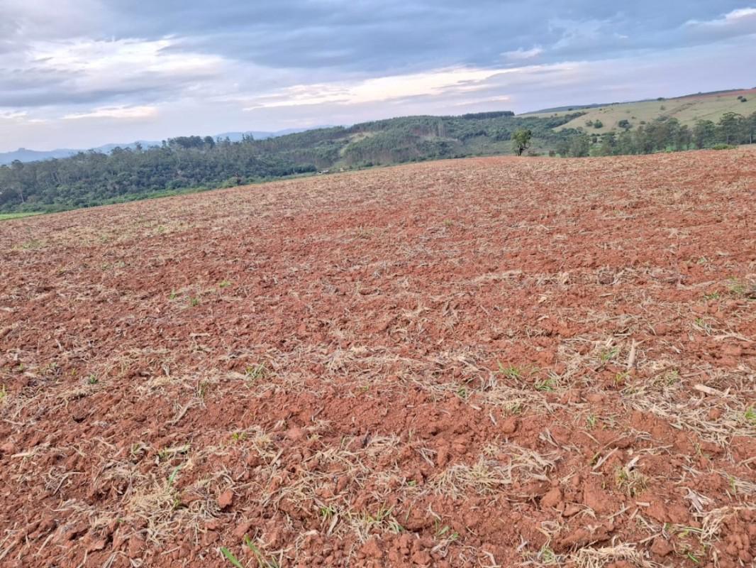 Fazenda, Zona Rural, 0 Quarto, 0 Vaga