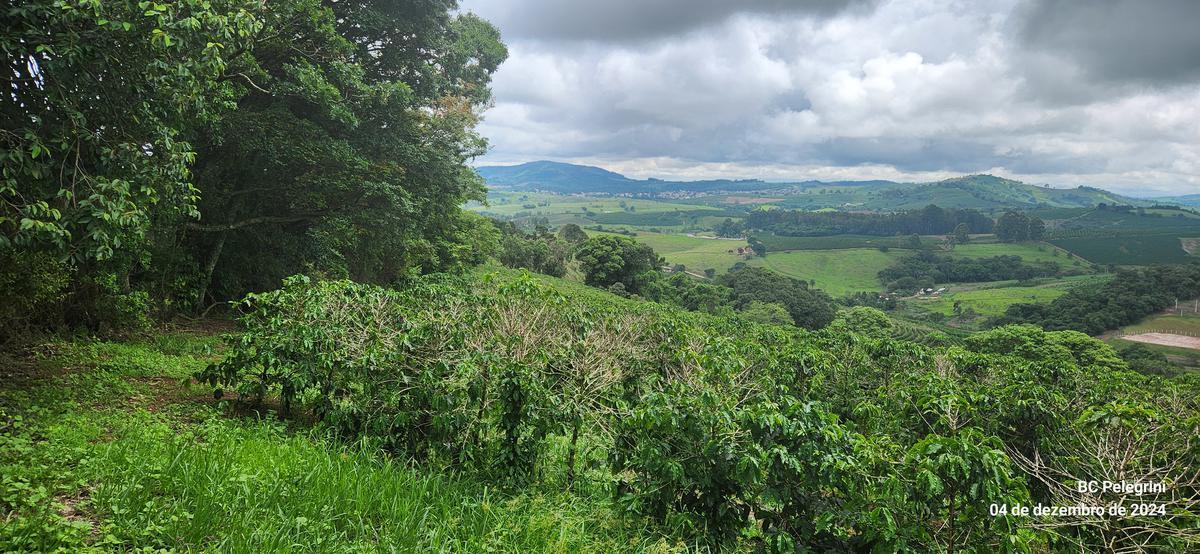 Fazenda, Centro, 2 Quartos, 1 Vaga, 1 Suíte