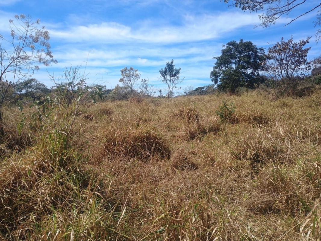 Fazenda, Centro, 7 Quartos, 0 Vaga, 2 Suítes
