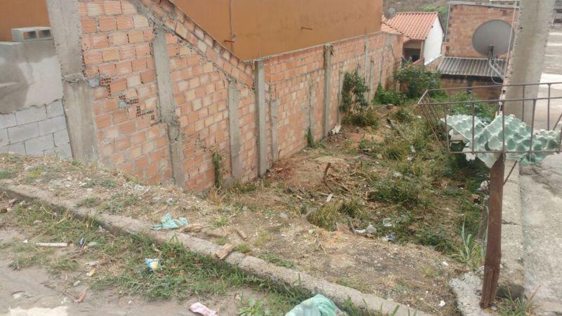 Lote, Palmeiras, 0 Quarto, 0 Vaga