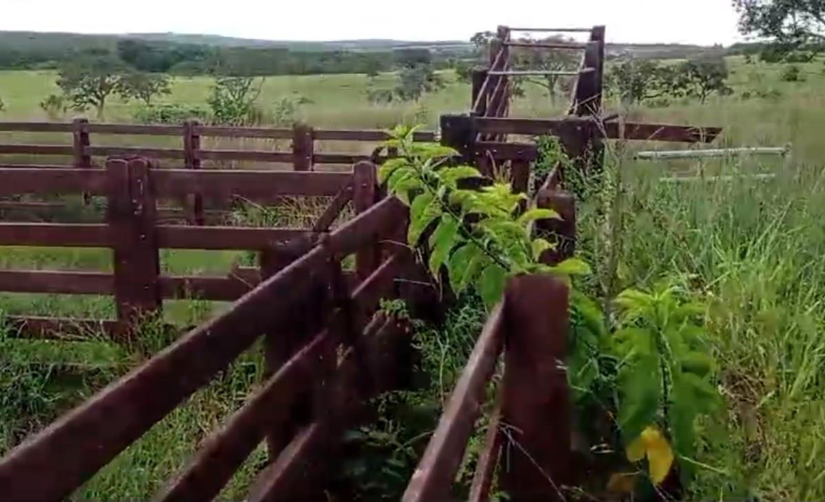 Fazenda, Zona Rural, 0 Quarto, 0 Vaga