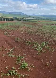 Fazenda, Zona Rural, 0 Quarto, 0 Vaga