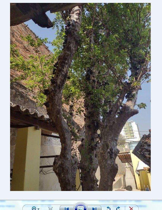 Casa, Concórdia, 3 Quartos, 1 Vaga