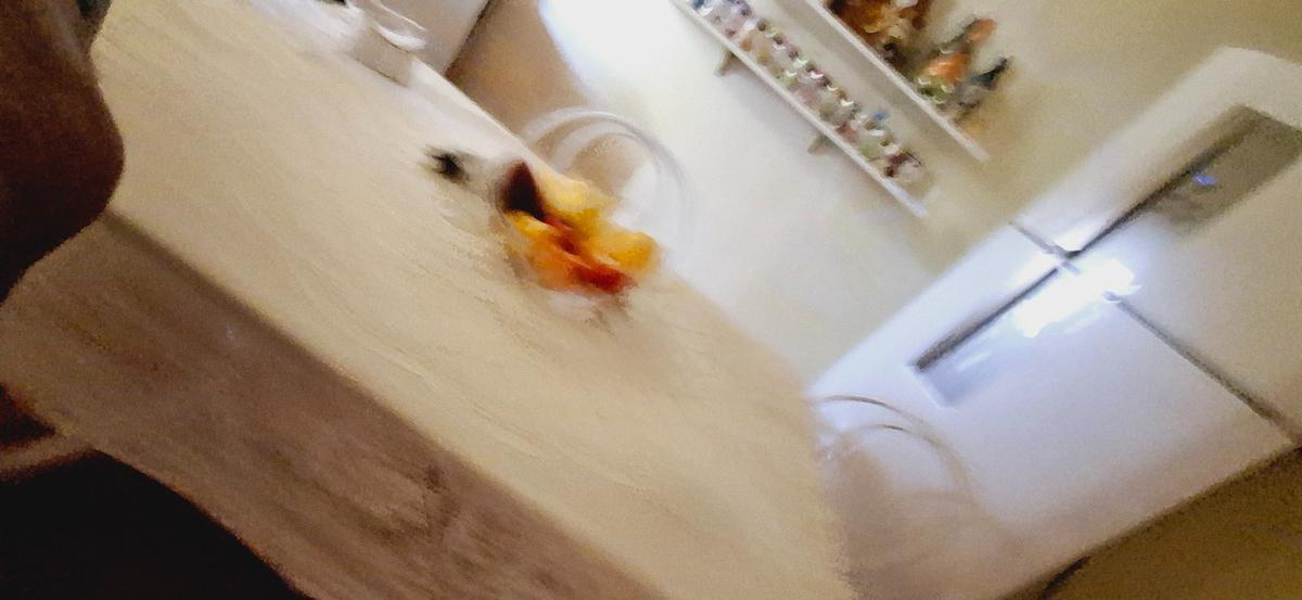 Casa, União, 1 Quarto, 0 Vaga