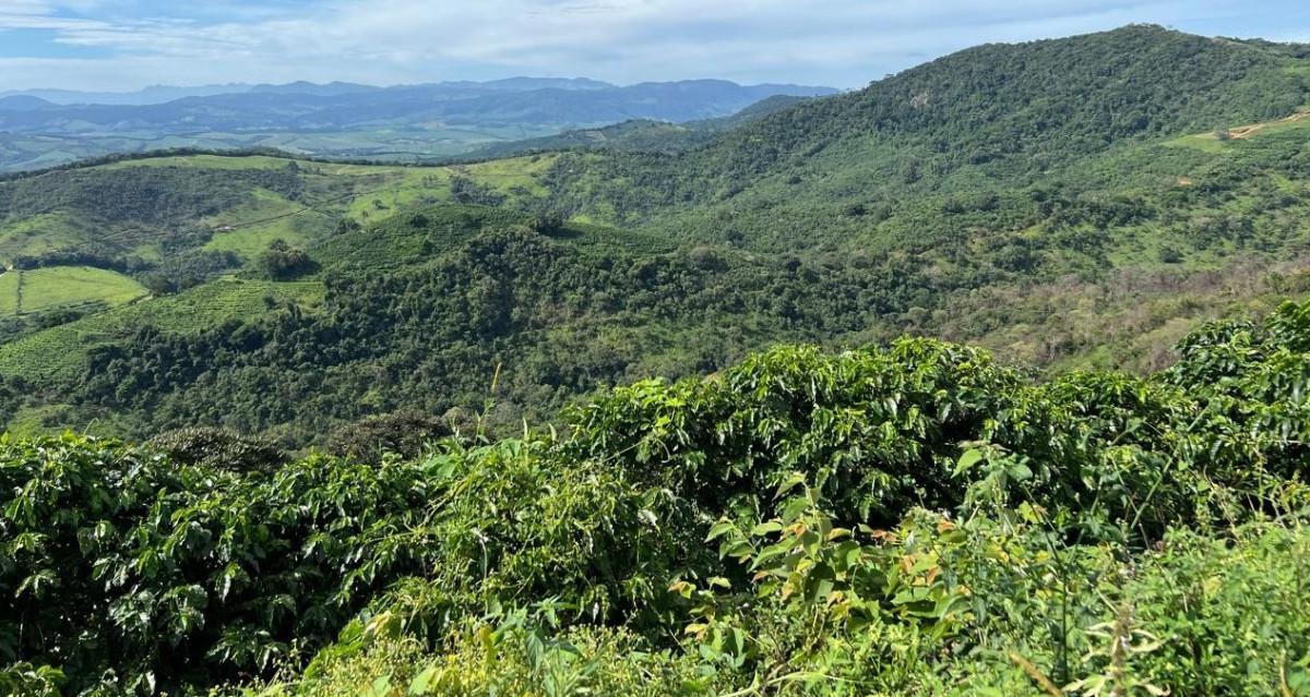 Fazenda, Zona Rural, 0 Quarto, 0 Vaga
