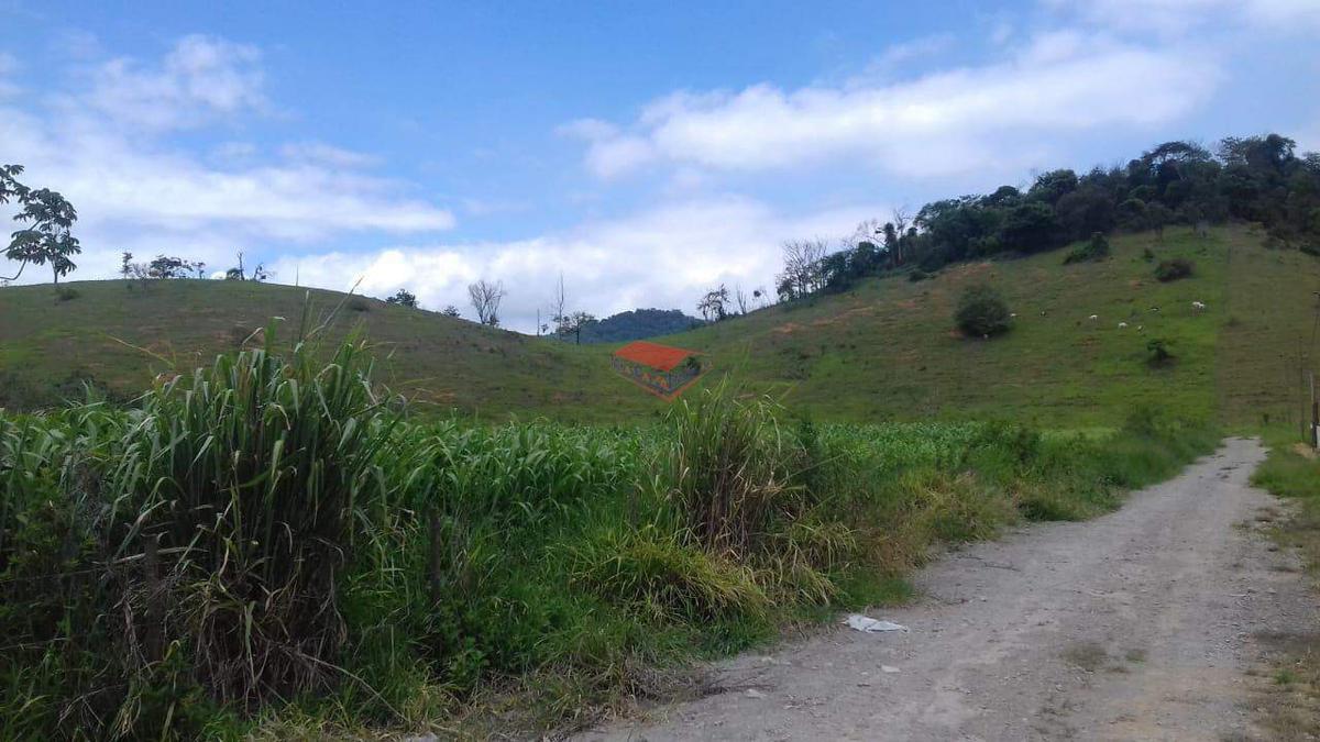 Fazenda, Centro, 0 Quarto, 0 Vaga