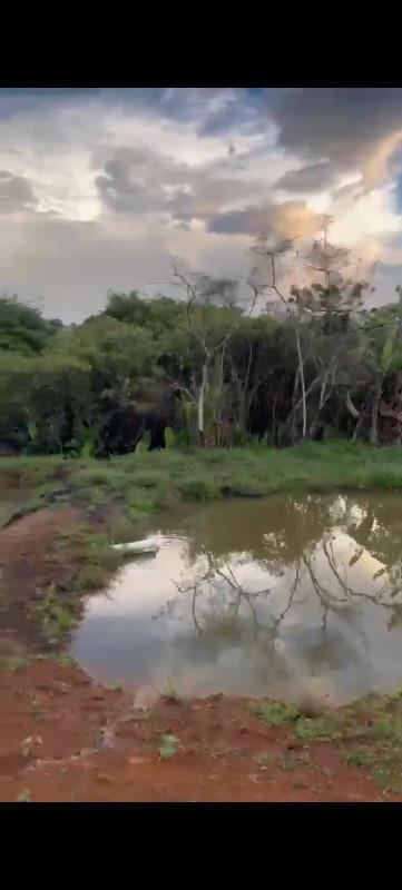 Fazenda, Zona Rural, 0 Quarto, 0 Vaga