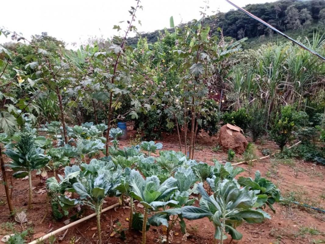 Fazenda, Centro, 2 Quartos, 2 Vagas