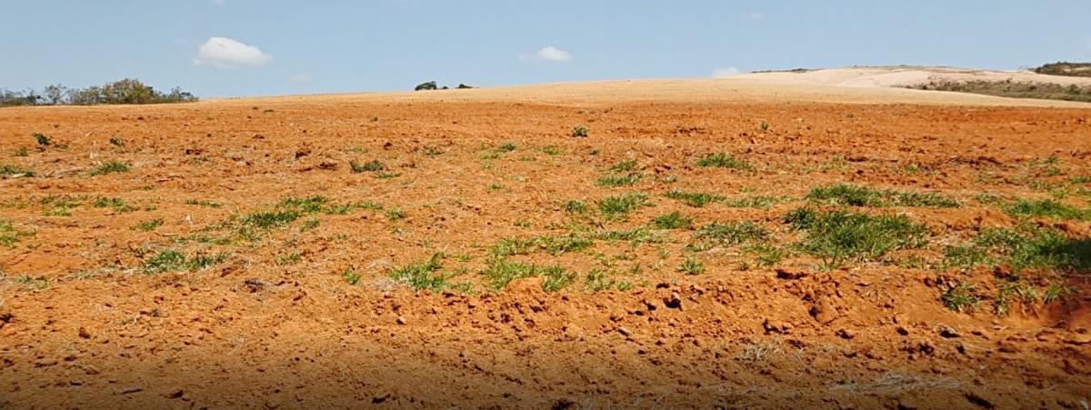 Fazenda, Zona Rural, 0 Quarto, 0 Vaga