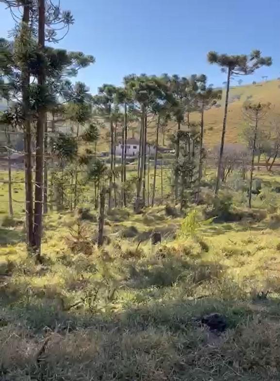 Fazenda, Zona Rural, 4 Quartos, 0 Vaga