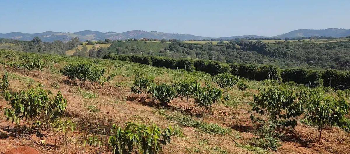 Fazenda, Zona Rural, 1 Quarto, 0 Vaga