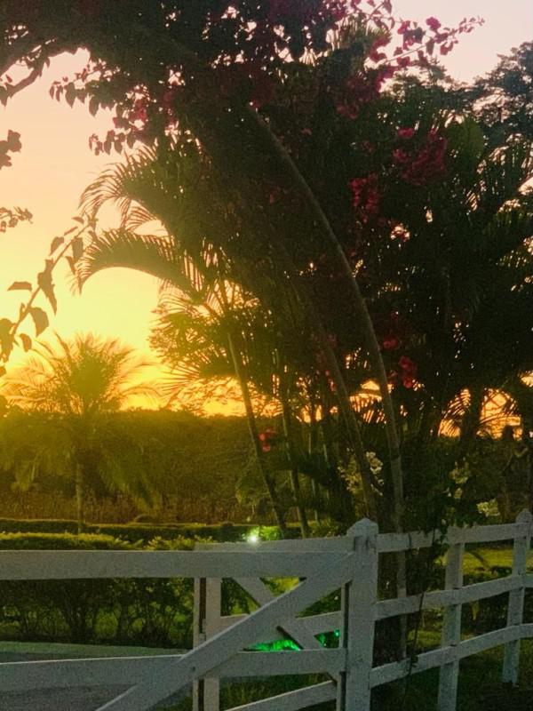 Fazenda, Centro, 3 Quartos, 10 Vagas, 1 Suíte