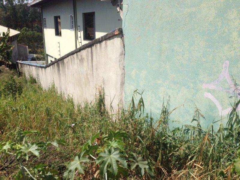 Lote, Tijuca
