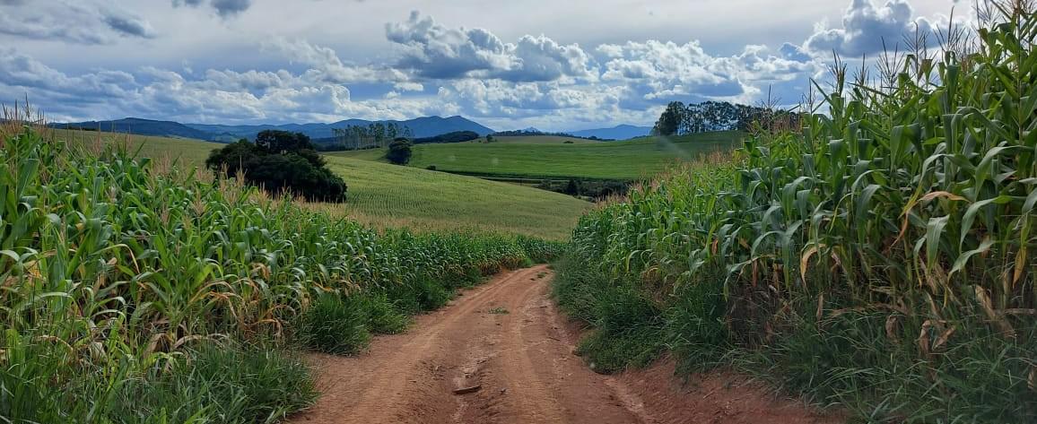 Fazenda, Zona Rural, 2 Quartos, 0 Vaga