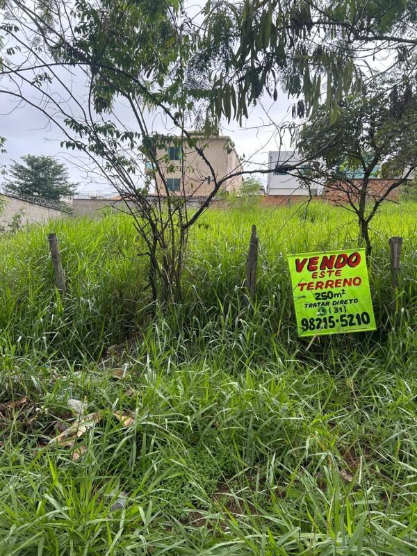 Lote, Liberdade, 0 Quarto, 0 Vaga