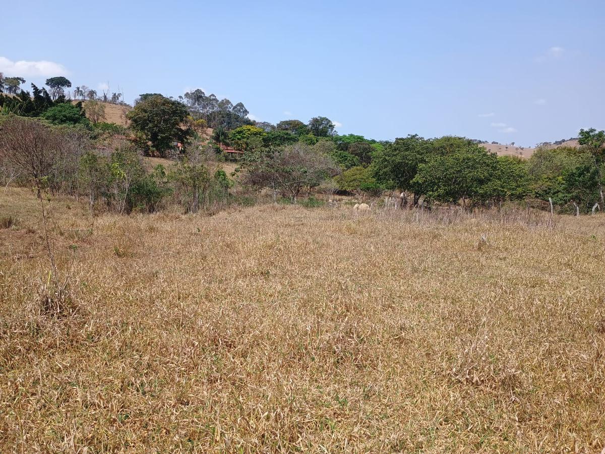 Fazenda, Centro, 3 Quartos, 10 Vagas, 1 Suíte