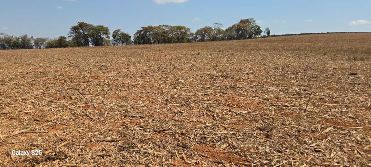 Fazenda, Centro, 1 Quarto, 21 Vagas, 1 Suíte