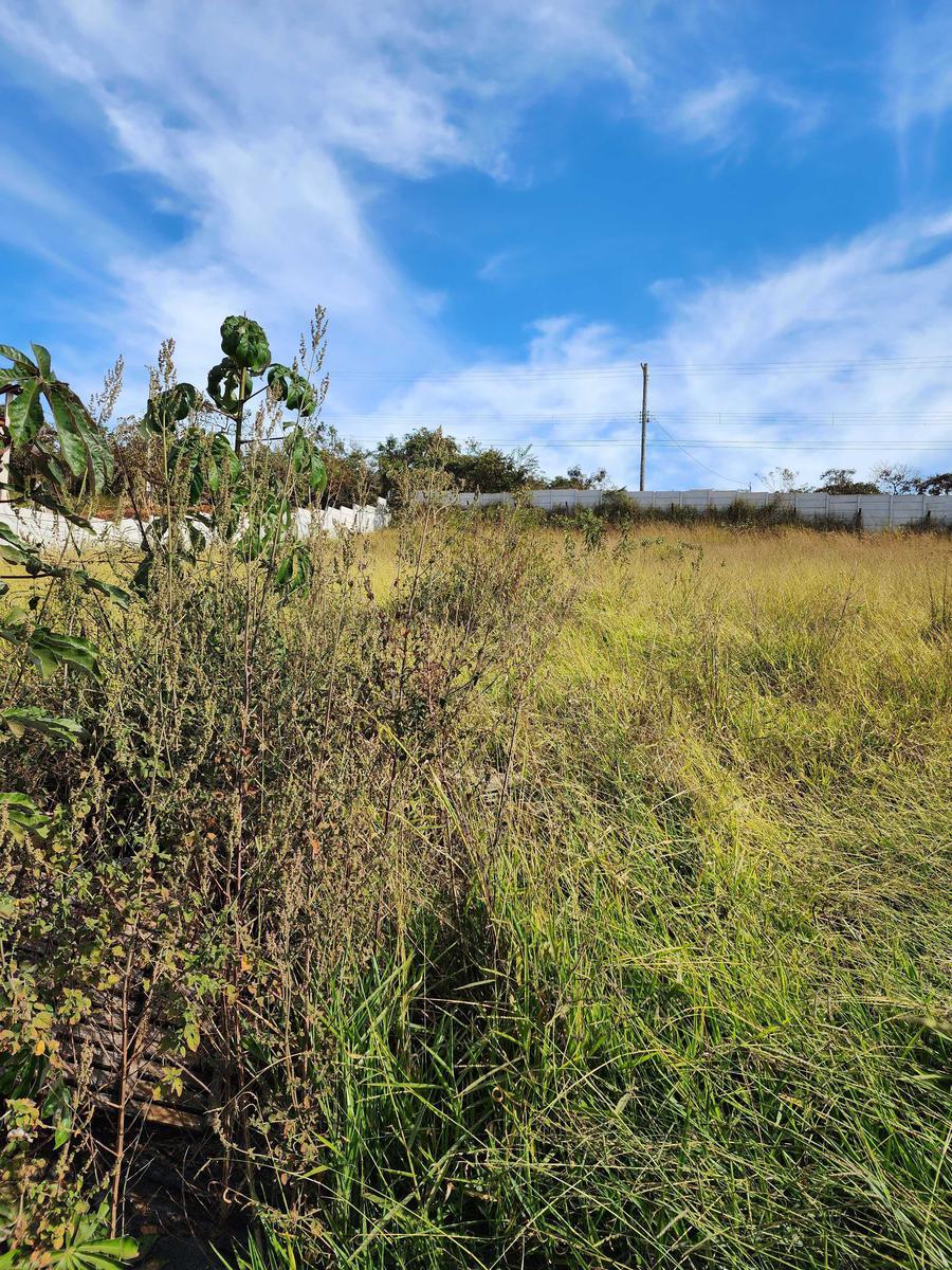 Lote, Recanto do Igarapé, 0 Quarto, 0 Vaga