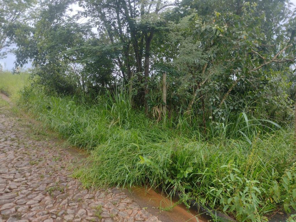 Lote, Paciência, 0 Quarto, 0 Vaga