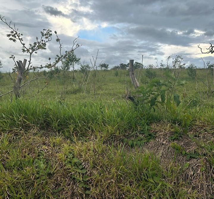 Fazenda, Zona Rural, 3 Quartos, 0 Vaga