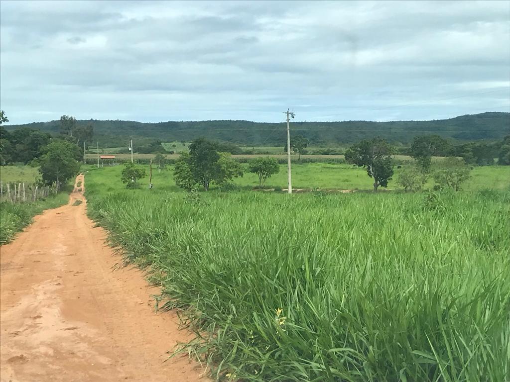 Fazenda, Centro, 3 Quartos, 0 Vaga