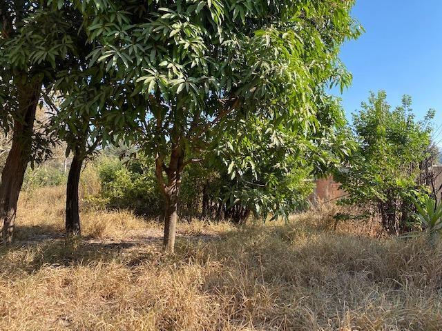 Lote, São José, 0 Quarto, 0 Vaga