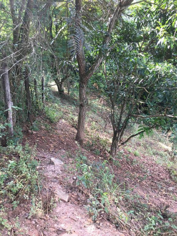 Lote, Mangueiras, 0 Quarto, 0 Vaga