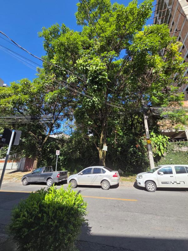 Lote, Ouro Preto, 0 Quarto, 0 Vaga