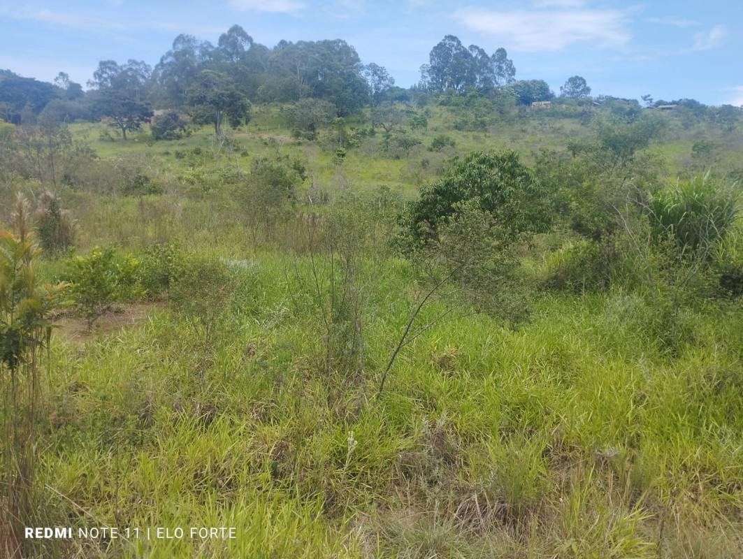 Fazenda, Centro, 0 Quarto, 0 Vaga