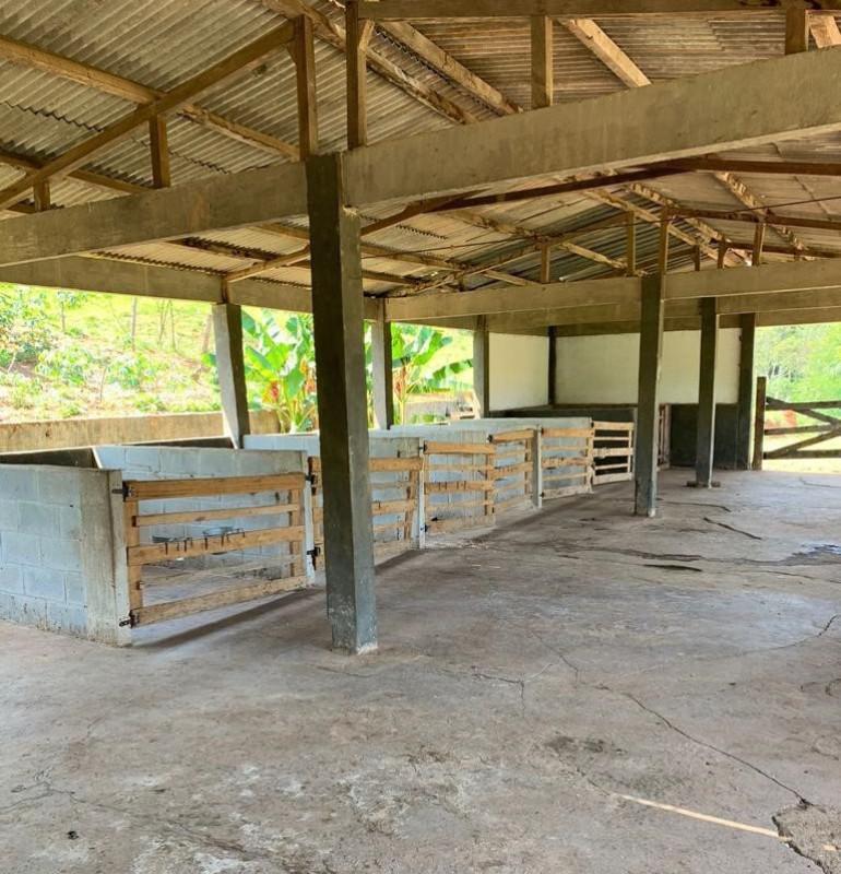 Fazenda, Area Rural de Juiz de Fora, 0 Quarto, 0 Vaga