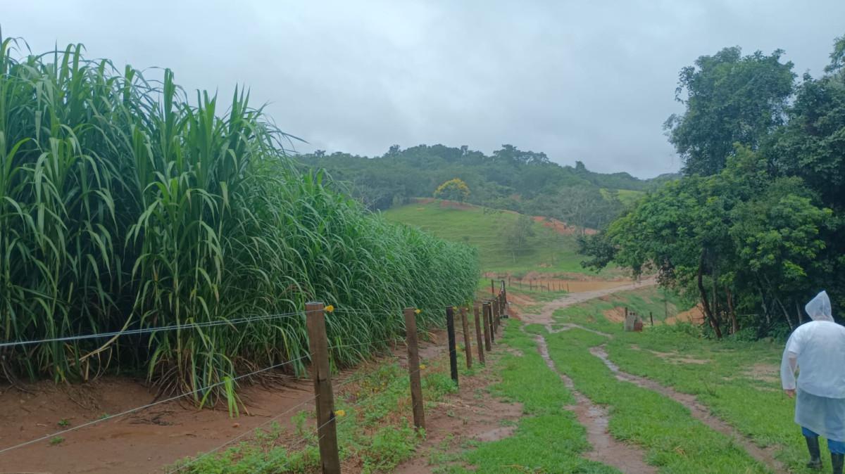 Fazenda, Centro, 3 Quartos, 100 Vagas