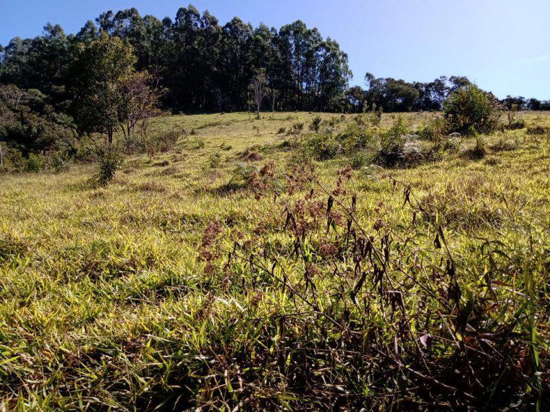 Lote, Centro, 0 Quarto, 0 Vaga