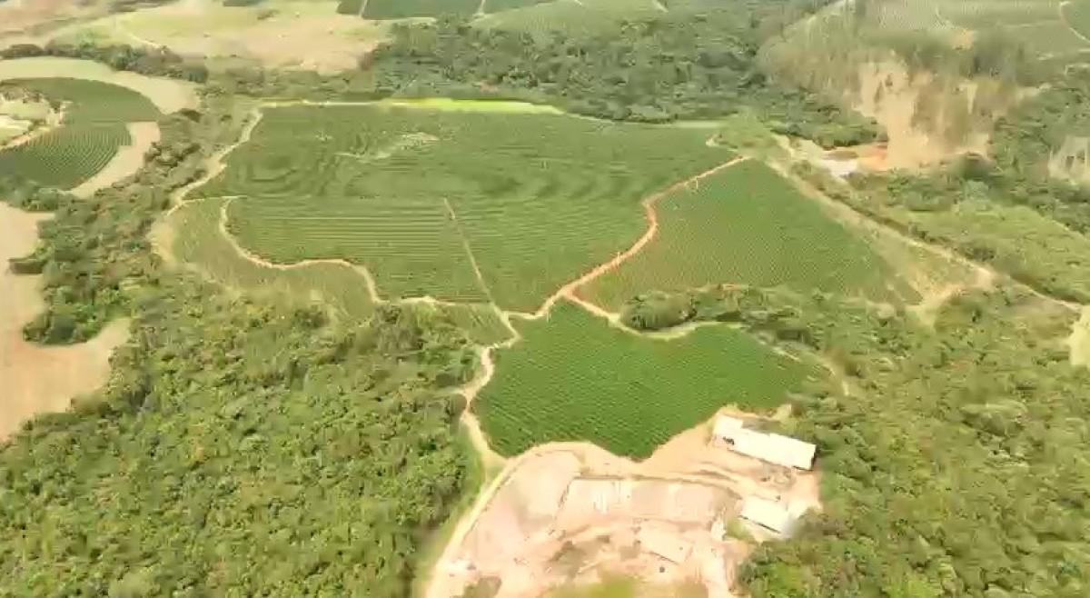 Fazenda, Zona Rural, 0 Quarto, 0 Vaga
