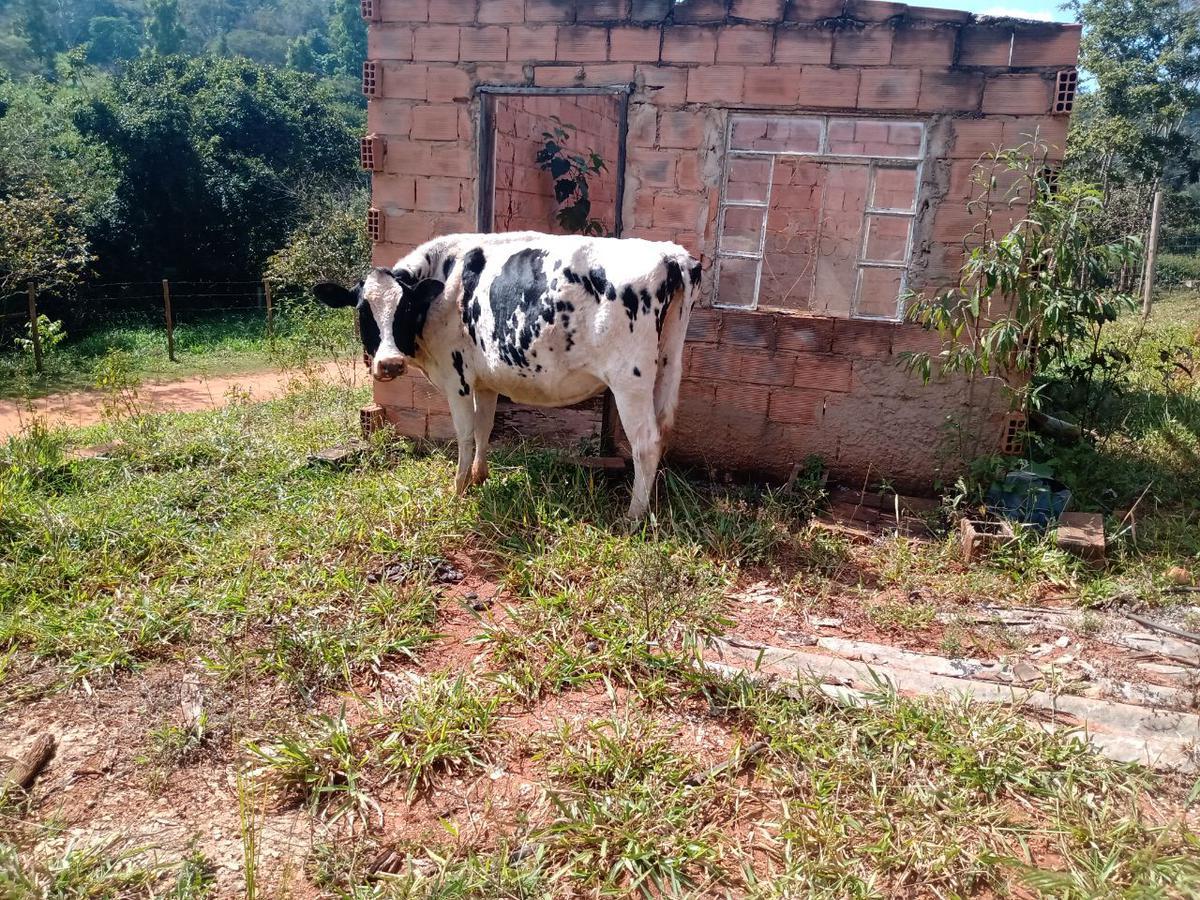 Lote, Encontro das Águas, 1 Quarto, 0 Vaga