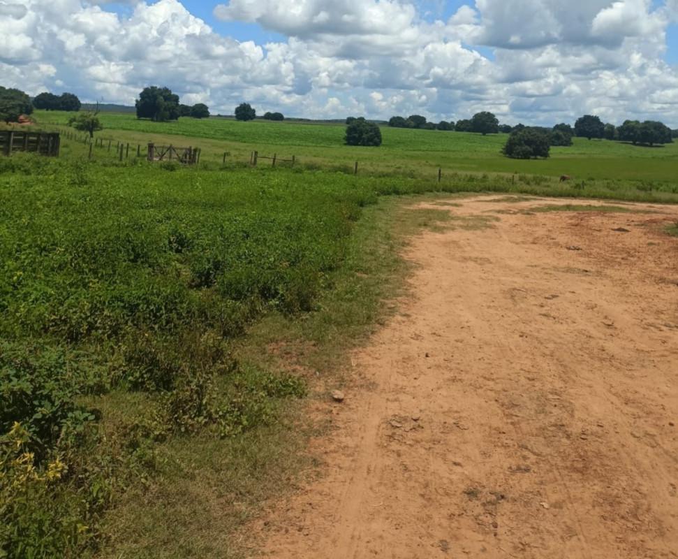 Fazenda, Zona Rural, 0 Quarto, 0 Vaga