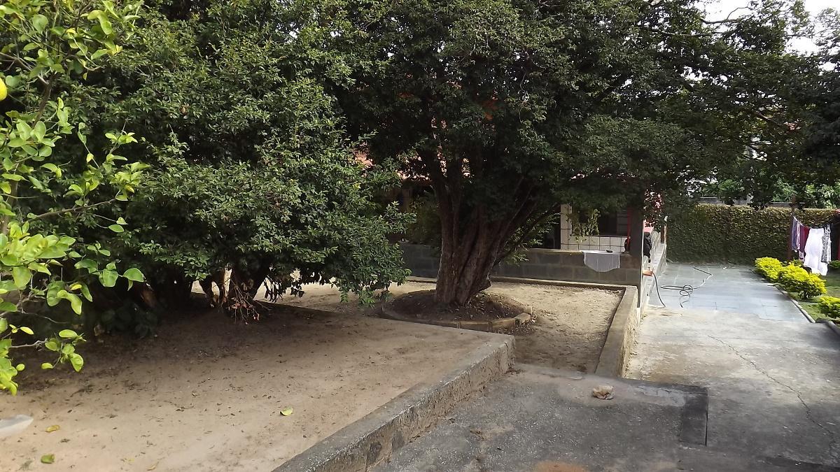 Casa, Alípio de Melo, 2 Quartos, 3 Vagas, 1 Suíte