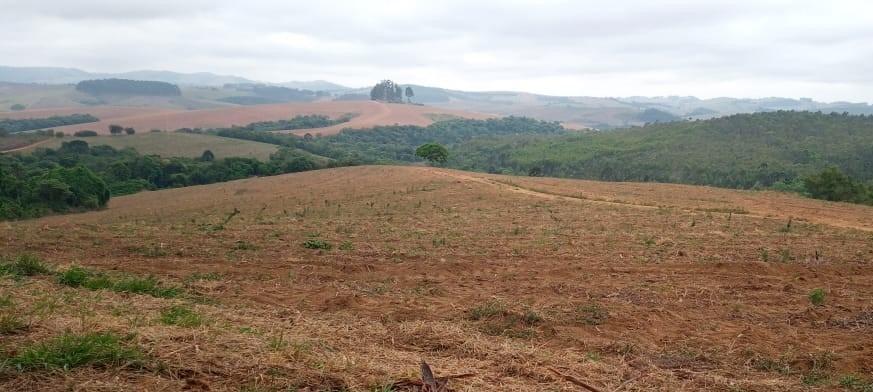 Fazenda, Centro, 0 Quarto, 0 Vaga