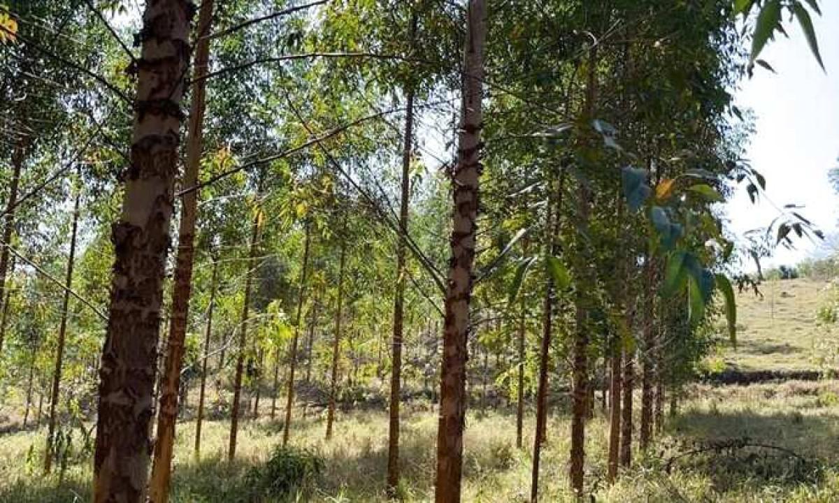 Fazenda, Zona Rural, 0 Quarto, 0 Vaga