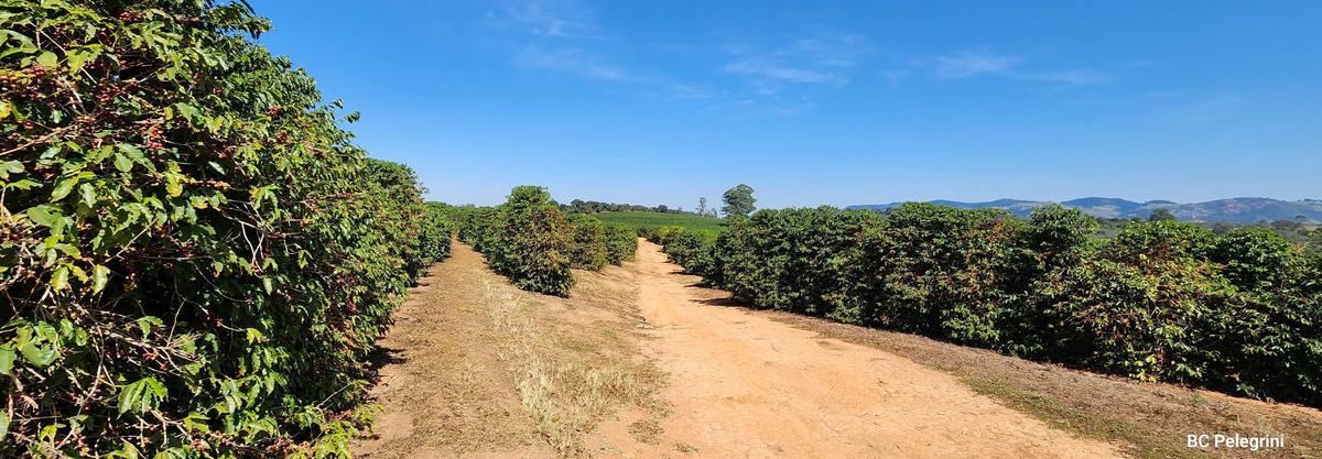 Fazenda, Zona Rural, 1 Quarto, 0 Vaga