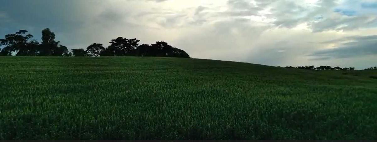 Fazenda, Zona Rural, 3 Quartos, 0 Vaga