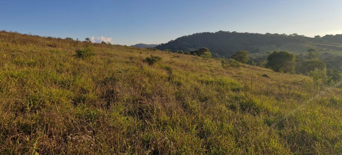 Fazenda, Zona Rural, 0 Quarto, 0 Vaga