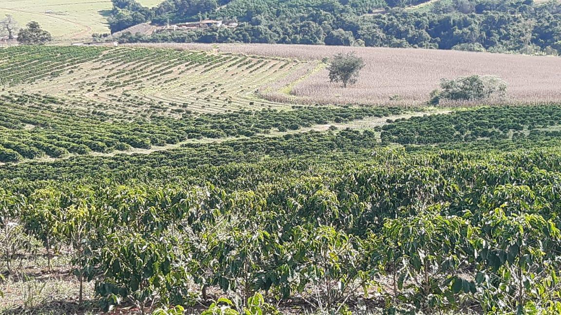 Fazenda, Centro, 3 Quartos, 1 Vaga