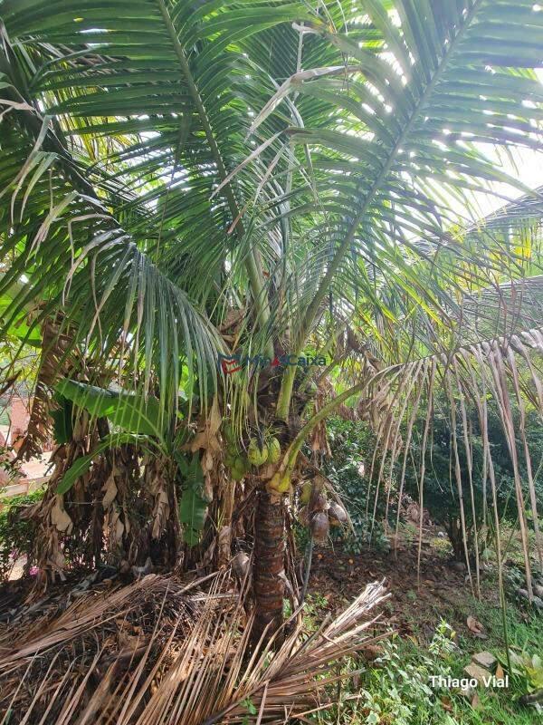 Fazenda, Córrego do Caçador, 0 Quarto, 20 Vagas