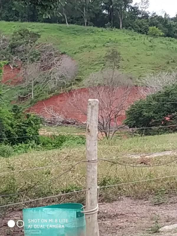 Fazenda, Coração de Jesus, 3 Quartos, 0 Vaga