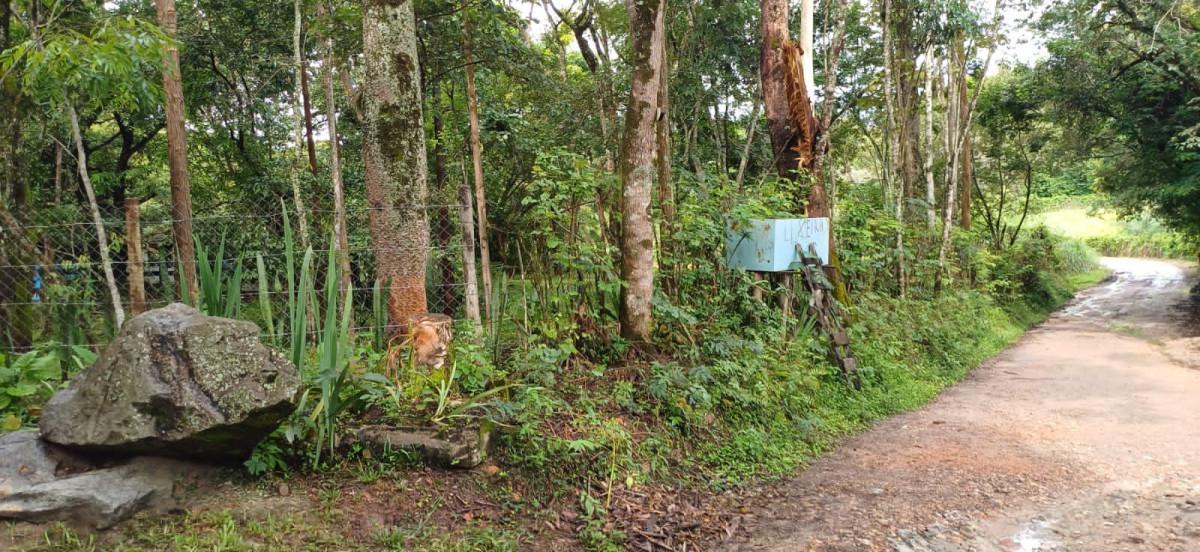 Fazenda, Bambus, 3 Quartos, 10 Vagas