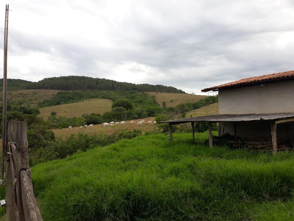 Fazenda, Zona Rural, 4 Quartos, 0 Vaga, 1 Suíte