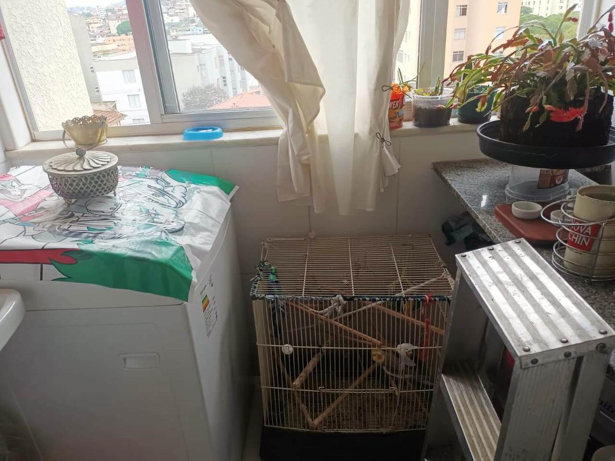 Apartamento, Santa Efigênia, 3 Quartos, 2 Vagas, 1 Suíte